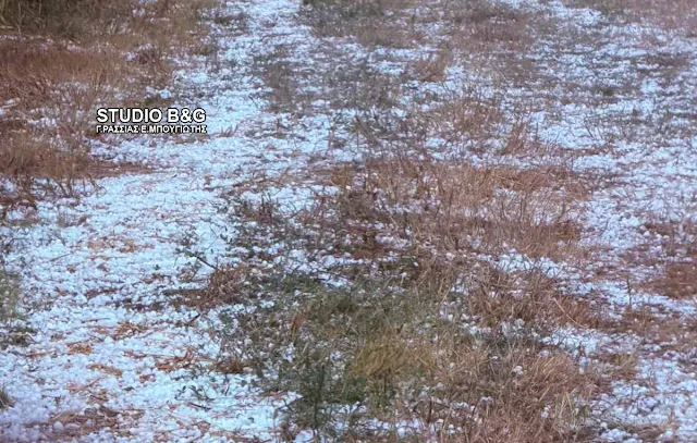 Σφοδρή χαλαζόπτωση στη Σκοτεινή Αργολίδας - Μεγάλες ζημιές στις καλλιέργειες