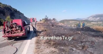Φωτιά στην Αρχαία Νεμέα
