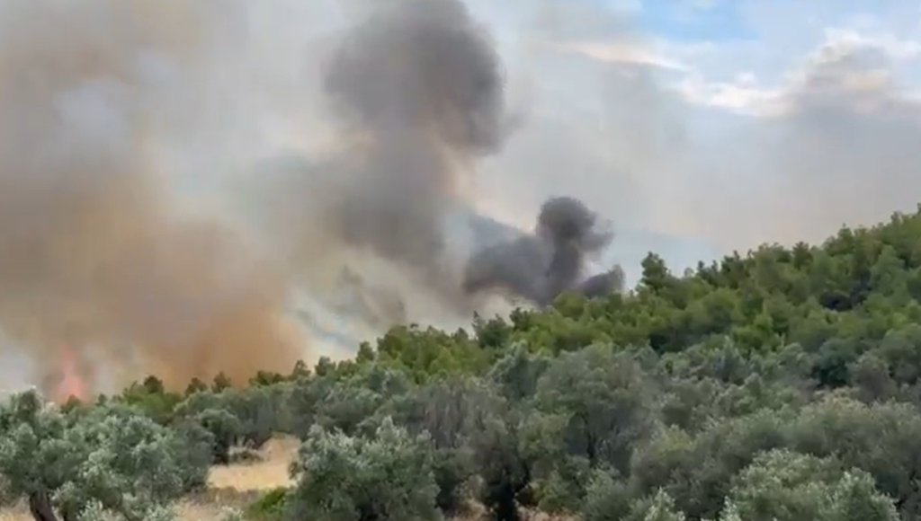 Φωτιά σε δασική έκταση στον Σχίνο Λουτρακίου