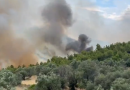 Φωτιά σε δασική έκταση στον Σχίνο Λουτρακίου
