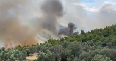 Φωτιά σε δασική έκταση στον Σχίνο Λουτρακίου