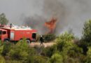 Σε ύφεση η φωτιά στο Πευκάλι Κορινθίας – Παραμένουν και επιχειρούν ισχυρές δυνάμεις της Πυροσβεστικής