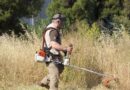 Παράταση μίας εβδομάδας για τον καθαρισμό οικοπέδων