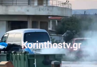Φωτιά σε κάδο απορριμμάτων και σε ξερά χόρτα στην Aρχαία Νεμέα