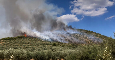 Φωτιά στο Σπαθοβούνι Κορινθίας - Μήνυμα 112 στους κατοίκους να είναι σε ετοιμότητα