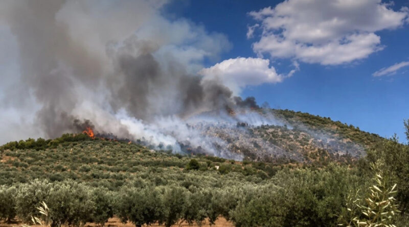 Φωτιά στο Σπαθοβούνι Κορινθίας - Μήνυμα 112 στους κατοίκους να είναι σε ετοιμότητα
