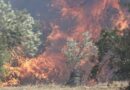Καταβλήθηκαν 1,2 εκατ. ευρώ σε 441 δικαιούχους για τις ζημιές από πυρκαγιές του 2022
