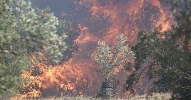 Καταβλήθηκαν 1,2 εκατ. ευρώ σε 441 δικαιούχους για τις ζημιές από πυρκαγιές του 2022