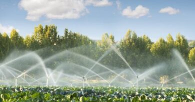 ΥΠΑΑΤ: 80 εκατ. ευρώ για μικρά αρδευτικά έργα μέσω Δήμων, από τους πόρους που απελευθερώθηκαν από τα βιολογικά προγράμματα