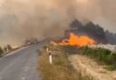 Ερώτηση Ψυχογιού στη Βουλή για τις αποζημιώσεις σε Κούτσι και Στιμάγκα από την πυρκαγιά του 2024