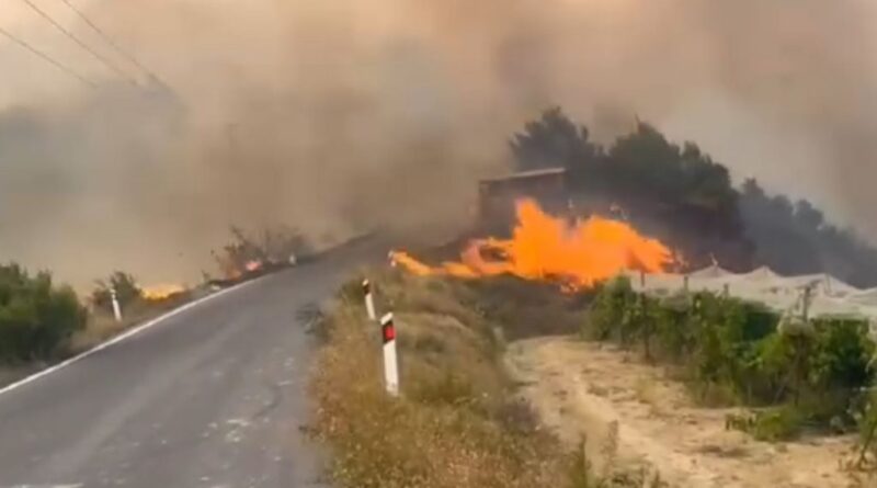 Ερώτηση Ψυχογιού στη Βουλή για τις αποζημιώσεις σε Κούτσι και Στιμάγκα από την πυρκαγιά του 2024