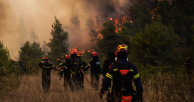 Δραματικές ώρες στην Ψάθα με το πύρινο μέτωπο, 112 για εκκενώσεις