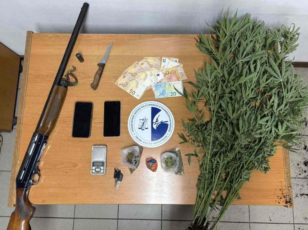 Εντοπίστηκε φυτεία με 280 δενδρύλλια κάνναβης στη Μεσσηνία