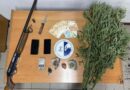 Εντοπίστηκε φυτεία με 280 δενδρύλλια κάνναβης στη Μεσσηνία