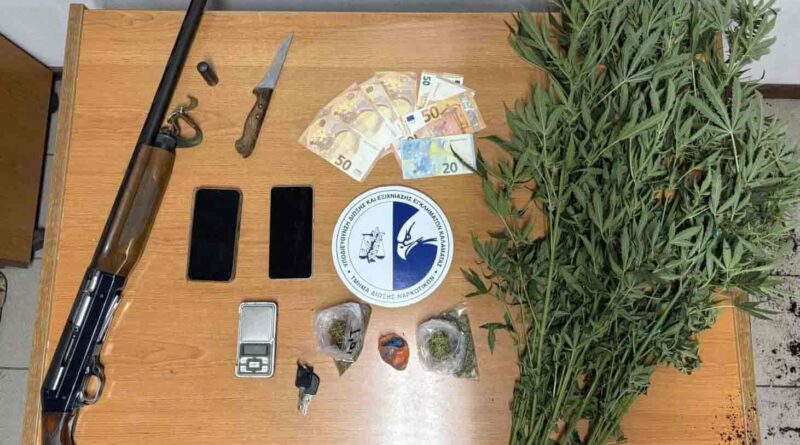 Εντοπίστηκε φυτεία με 280 δενδρύλλια κάνναβης στη Μεσσηνία
