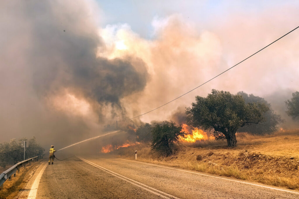 Από αγροτικές εργασίες με καταστροφέα η μεγάλη πυρκαγιά στα Φίχτια Αργολίδας