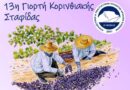 Η 13η Γιορτή Κορινθιακής Σταφίδας ολοκληρώθηκε στις Αρχαίες Κλεωνές Νεμέας, αναδεικνύοντας τον «μαύρο χρυσό» της περιοχής
