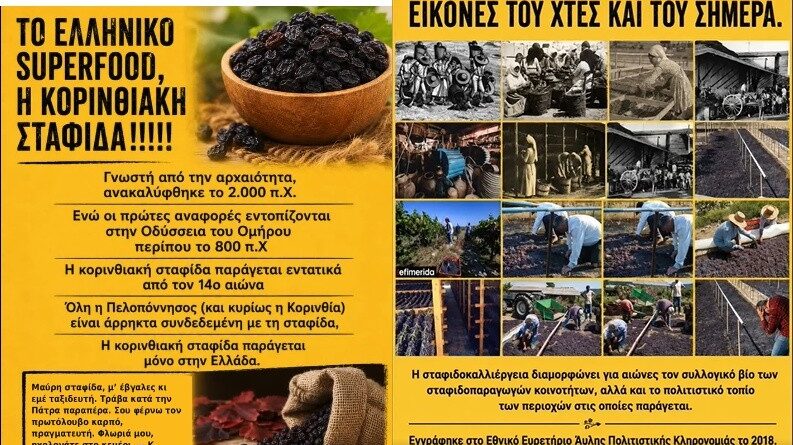 Κορινθιακή Σταφίδα: Ο τρύγος της μνήμης και της συνέχειας
