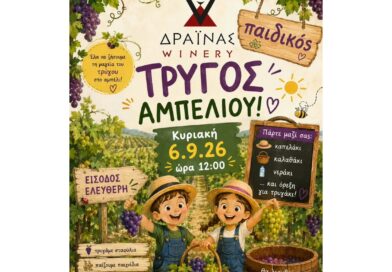 Μικρά χεράκια, μεγάλα χαμόγελα και… τρύγος στο Κτήμα Δραΐνα