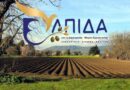 «Ελπίδα για τη Δημοκρατία»: ΟΣΔΕ-«φάντασμα» και γραφειοκρατικό αδιέξοδο