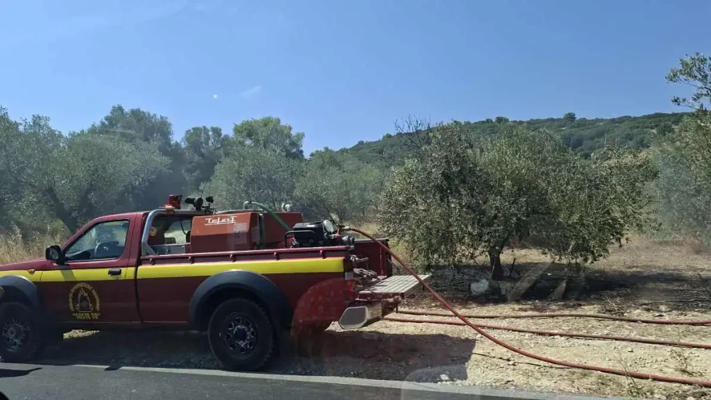 Κορινθία: Υπό έλεγχο η φωτιά στον Άγιο Βασίλειο