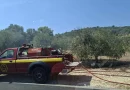 Κορινθία: Υπό έλεγχο η φωτιά στον Άγιο Βασίλειο