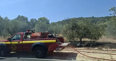 Κορινθία: Υπό έλεγχο η φωτιά στον Άγιο Βασίλειο