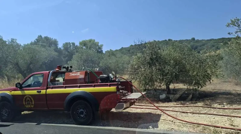 Κορινθία: Υπό έλεγχο η φωτιά στον Άγιο Βασίλειο