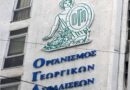 Γ. Ψυχογιός: Απαράδεκτη διάκριση για τις συντάξεις χηρείας του ΟΓΑ. Ζητάμε άμεση αποκατάσταση της αδικίας για χιλιάδες συνταξιούχους