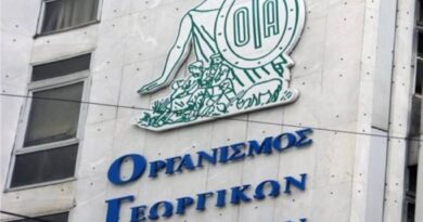 Γ. Ψυχογιός: Απαράδεκτη διάκριση για τις συντάξεις χηρείας του ΟΓΑ. Ζητάμε άμεση αποκατάσταση της αδικίας για χιλιάδες συνταξιούχους