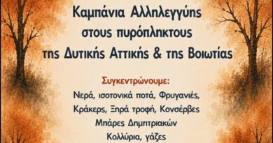 Ο ΣΥΡΙΖΑ – Προοδευτική Συμμαχία Κορινθίας στηρίζει την καμπάνια αλληλεγγύης για τους πυρόπληκτους
