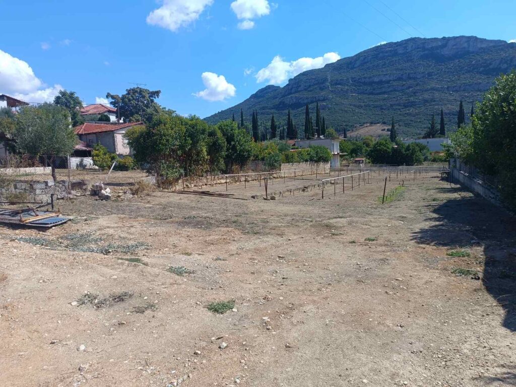 Νεμέα: Πωλείται οικόπεδο εντός σχεδίου 900 τ.μ. - ΦΩΤΟ