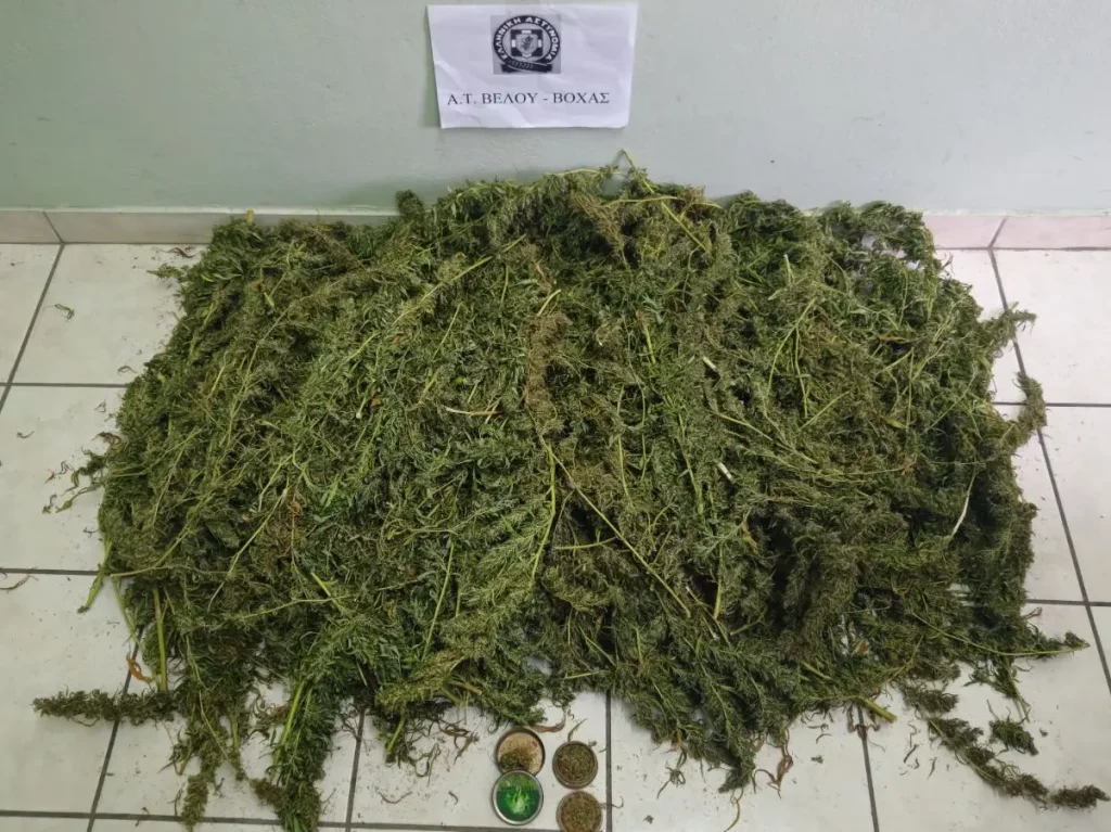 Βέλο - Βόχα: Συνελήφθη 52χρονος για ναρκωτικά
