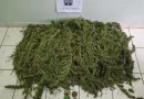 Βέλο - Βόχα: Συνελήφθη 52χρονος για ναρκωτικά