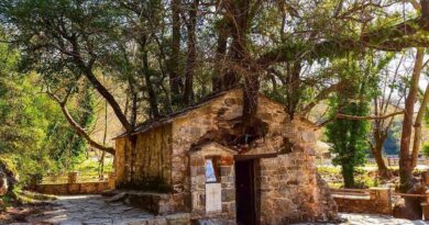 Βάστα Αρκαδίας: Το εκκλησάκι με τα 17 δέντρα στη σκεπή που μπήκε στο Γκίνες