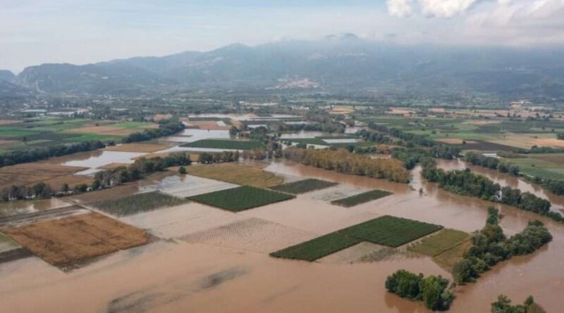 ΥΠΑΑΤ: Ειδική ρύθμιση για τους αγρότες και κτηνοτρόφους που επλήγησαν από τον Daniel