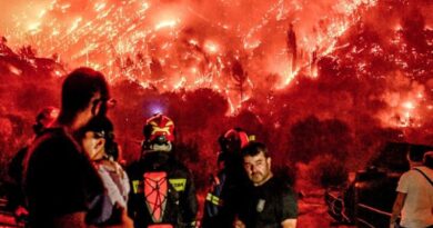 Καταβολή 5 εκ ευρώ ως προκαταβολή για ζημίες στο φυτικό κεφάλαιο από τις πυρκαγιές του 2024
