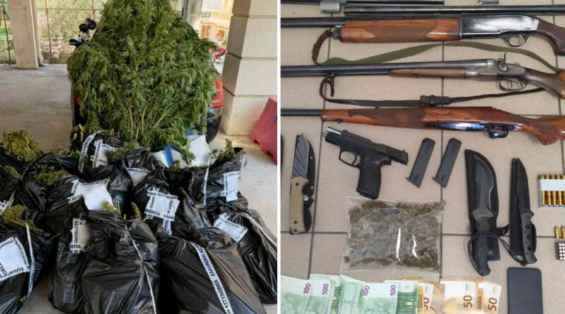 Λακωνία: Πάνω από 81 κιλά κάνναβης κατασχέθηκαν σε αστυνομική επιχείρηση – Δύο συλλήψεις