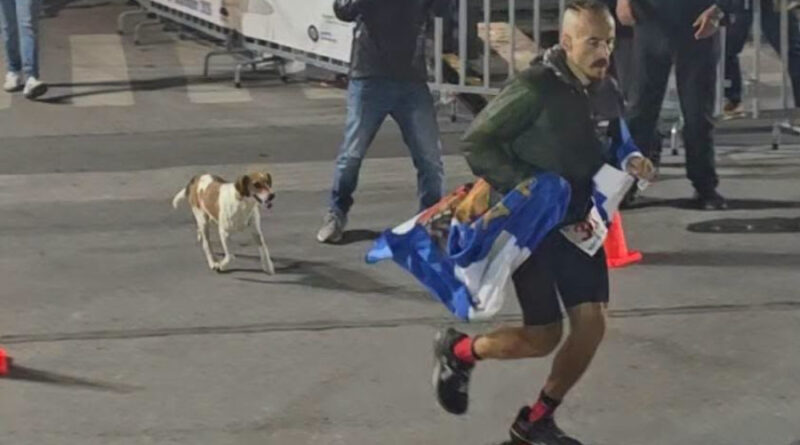 Σπάρταθλον 2026: Η σκυλίτσα που ακολούθησε αθλητή για περίπου 100 χιλιόμετρα μέχρι τη Σπάρτη -VIDEO