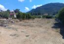 Νεμέα: Πωλείται οικόπεδο εντός σχεδίου 900 τ.μ. - ΦΩΤΟ