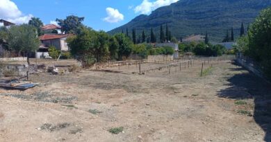 Νεμέα: Πωλείται οικόπεδο εντός σχεδίου 900 τ.μ. - ΦΩΤΟ