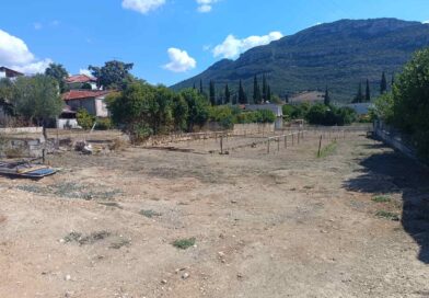 Νεμέα: Πωλείται οικόπεδο εντός σχεδίου 900 τ.μ. - ΦΩΤΟ