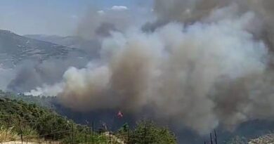 Φωτιά στη Στιμάγκα Κορινθίας: Επιχειρούν επίγειες και εναέριες δυνάμεις