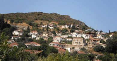 Γ. Ψυχογιός: Στη Βουλή η αναγνώριση του Ζεμενού Κορινθίας ως Μαρτυρικό Χωριό – Επίκαιρη Ερώτηση