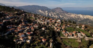 Γ. Ψυχογιός: Δέσμευση ΥΠΕΣ για επανεξέταση αναγνώρισης του Ζεμενού ως «μαρτυρικού χωριού». Το Ψάρι και το Πιτσά τέθηκαν επίσης στη συζήτηση προς ένταξη
