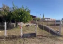 Αμαλιάδα: Δύο αδέλφια έθαψαν τη μητέρα τους, γιατί δεν είχαν λεφτά για κηδεία